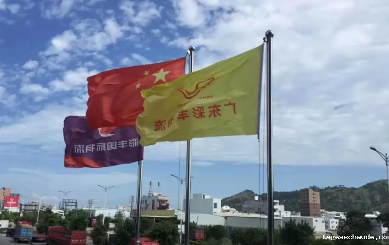 6_$1755050524759030231.png 6.png